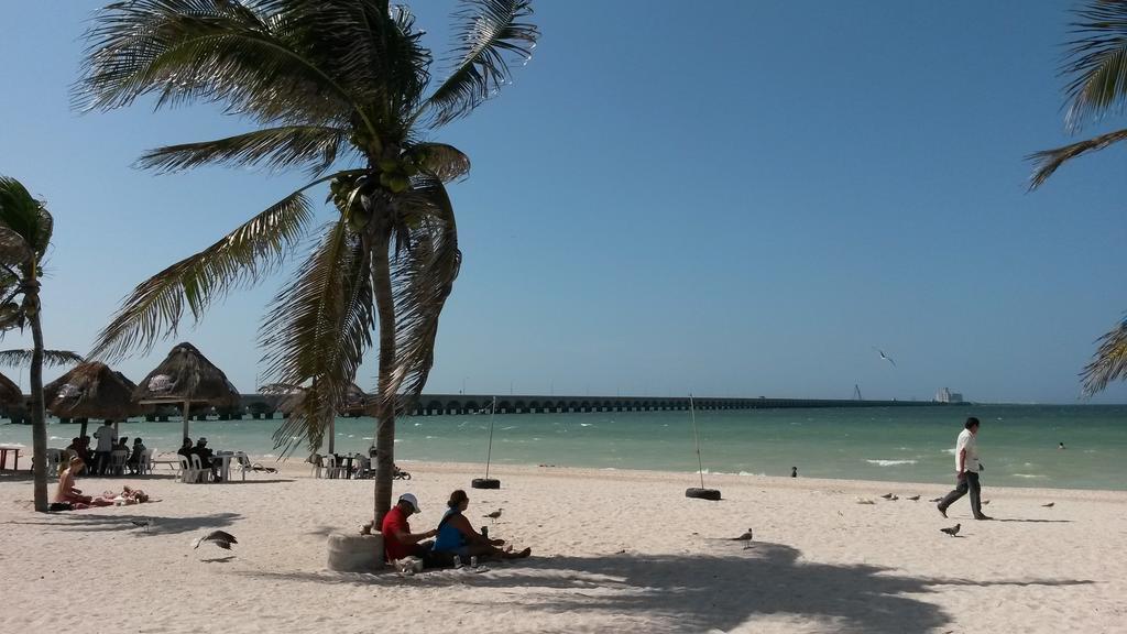 Hotel & Suites Domani Progreso  Exteriör bild